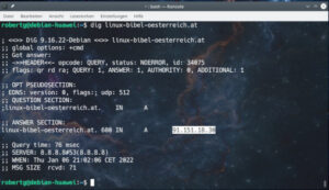 dig – IP-Adressen und Hostnamen unter Linux am Terminal auflösen